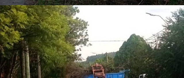 Capioví: realizaron tareas de despeje y limpieza tras la tormenta
