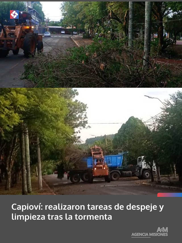 Capioví: realizaron tareas de despeje y limpieza tras la tormenta