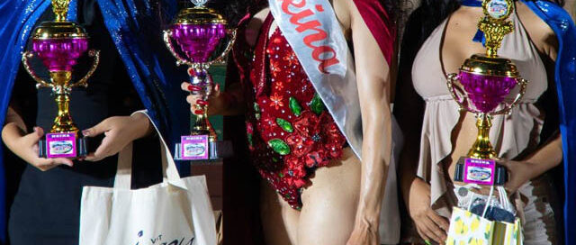 Puerto Iguazú: Filippa destacó el compromiso de las comparsas en el Carnaval Cataratas de Alegría