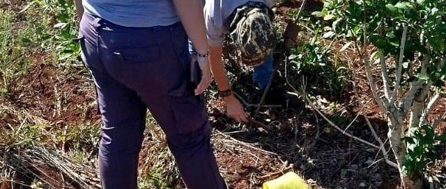 El Alcázar: productores participaron de una capacitación junto al INYM, INTA y el área de Agro municipal
