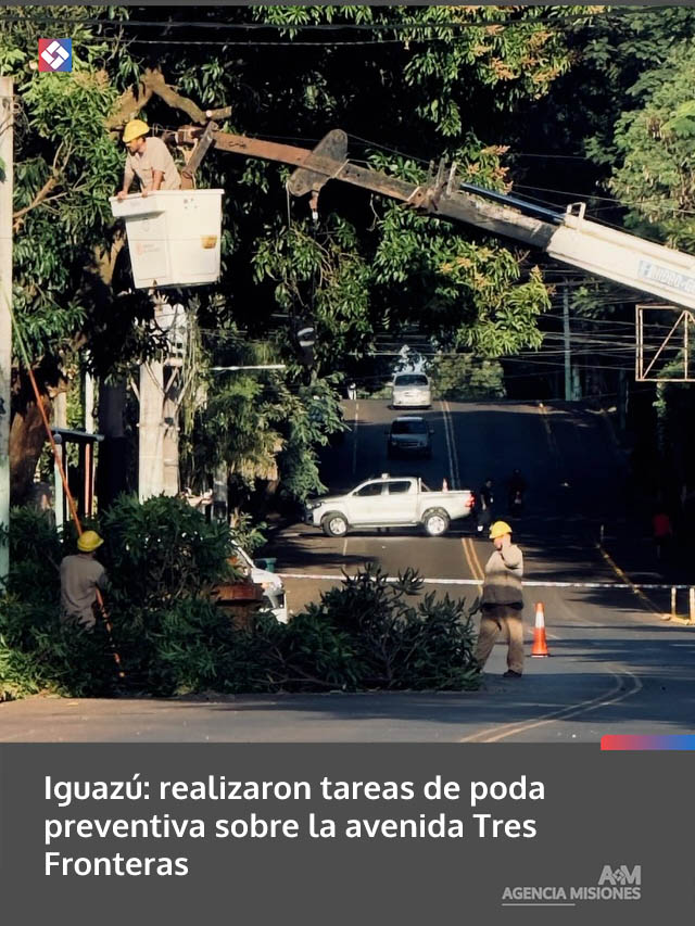 Iguazú: realizaron tareas de poda preventiva sobre la avenida Tres Fronteras