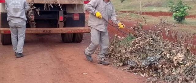 Colonia Delicia: avanzan trabajos de recolección de gajos y chatarras en distintos sectores