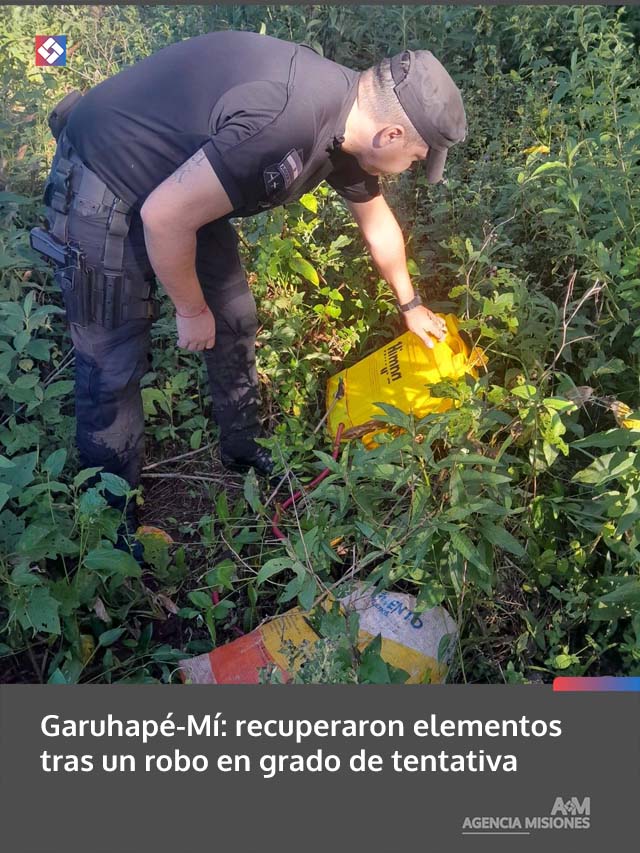 Garuhapé-Mí: recuperaron elementos tras un robo en grado de tentativa
