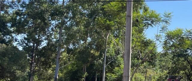 San Javier: refuerzan el servicio eléctrico en el barrio Stella Maris