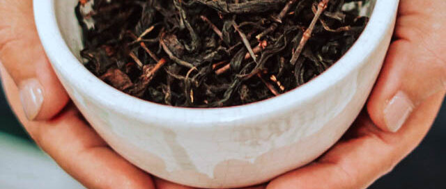 Misiones impulsa el Té Gourmet con una estrategia integral que combina producción, calidad y agroturismo