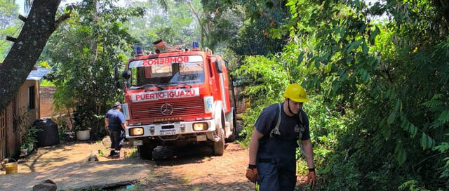 Puerto Iguazú: tres dotaciones de Bomberos trabajan en un incendio forestal con riesgo para viviendas