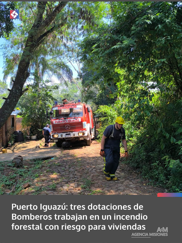 Puerto Iguazú: tres dotaciones de Bomberos trabajan en un incendio forestal con riesgo para viviendas
