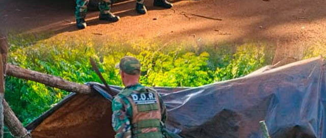 Ecología realizó operativos forestales en Santiago de Liniers y San Javier