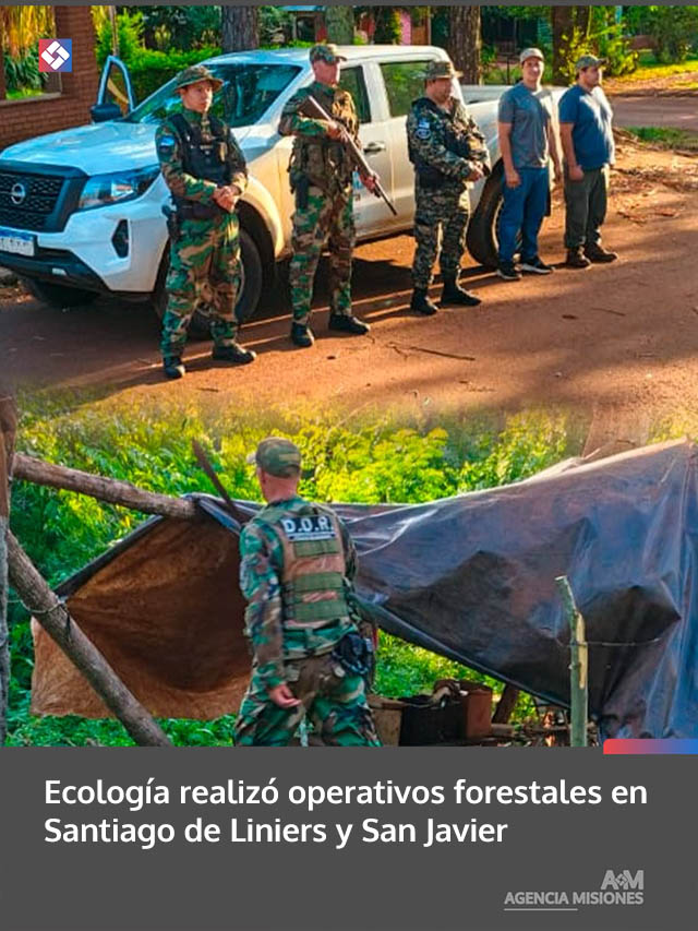 Ecología realizó operativos forestales en Santiago de Liniers y San Javier