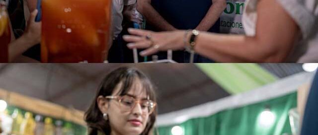 Campo Viera celebra la 35° Fiesta Nacional del Té con producción, innovación y propuestas culturales