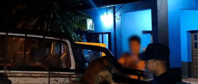 Guaraní: resguardaron a tres perros que deambulaban sueltos y localizaron a su propietario