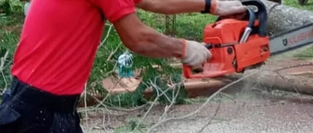 San Ignacio: realizaron tareas preventivas por caída de poste y árboles sobre tendido eléctrico