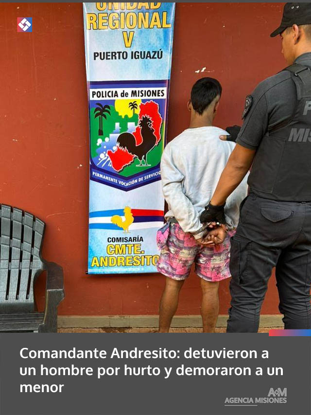 Comandante Andresito: detuvieron a un hombre por hurto y demoraron a un menor
