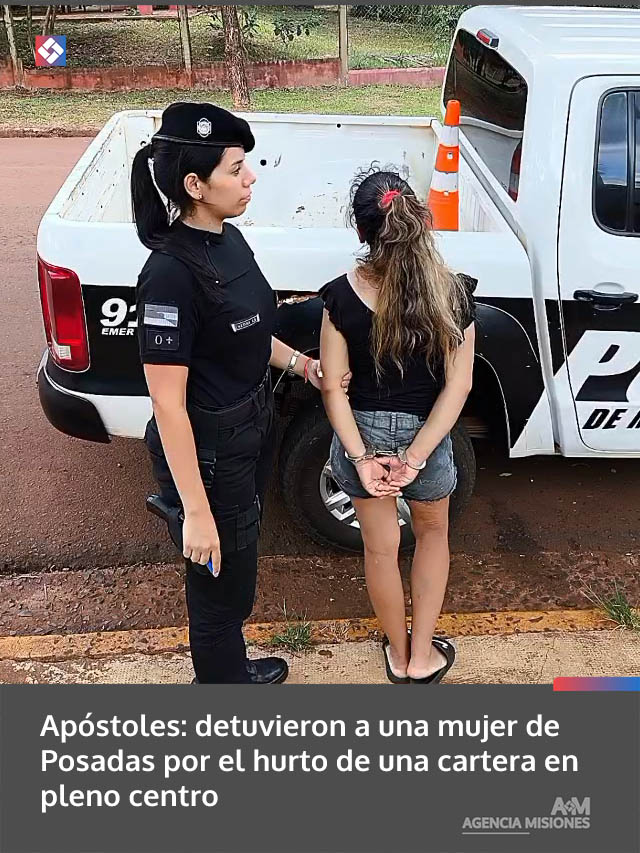 Apóstoles: detuvieron a una mujer de Posadas por el hurto de una cartera en pleno centro