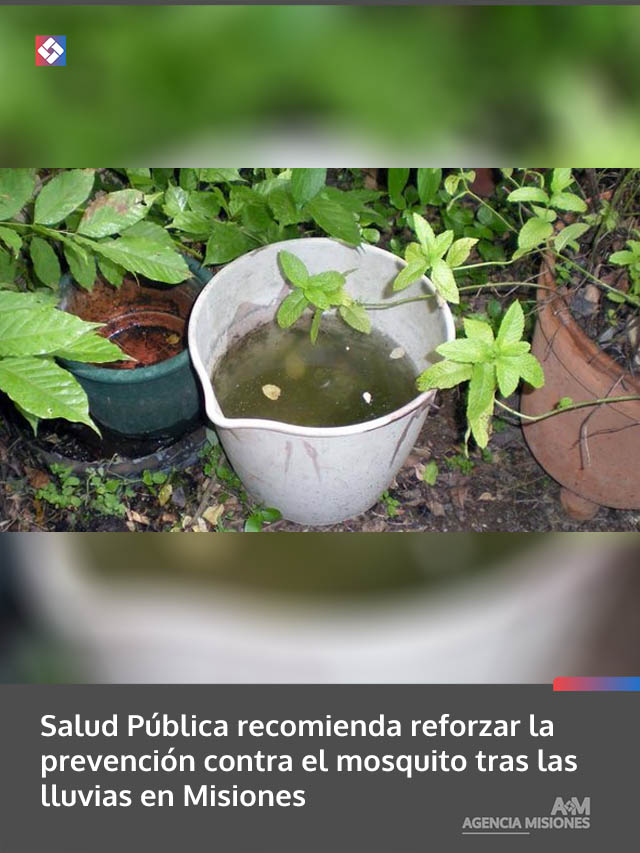 Salud Pública recomienda reforzar la prevención contra el mosquito tras las lluvias en Misiones