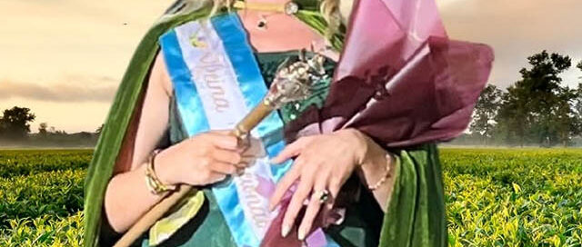 Campo Viera coronó a la nueva Reina Nacional del Té en la XXXV edición de la fiesta