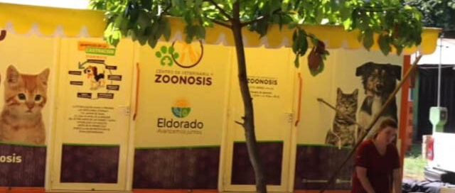 Eldorado: realizarán operativo de esterilización gratuita en el barrio Bompadre