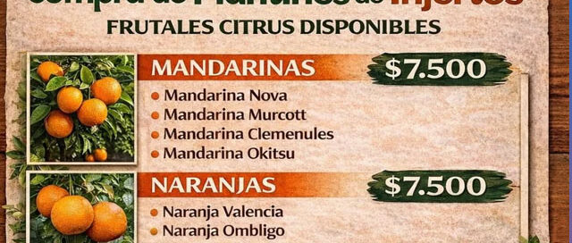 Abren inscripción para la compra de plantines injertados en 25 de Mayo