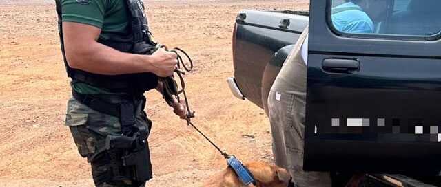 Recuperaron y restituyeron a sus dueños a dos perros que habían sido resguardados en Leandro N. Alem