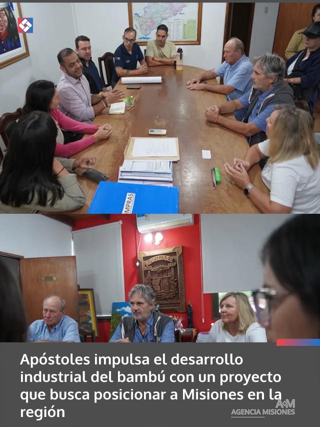 Apóstoles impulsa el desarrollo industrial del bambú con un proyecto que busca posicionar a Misiones en la región