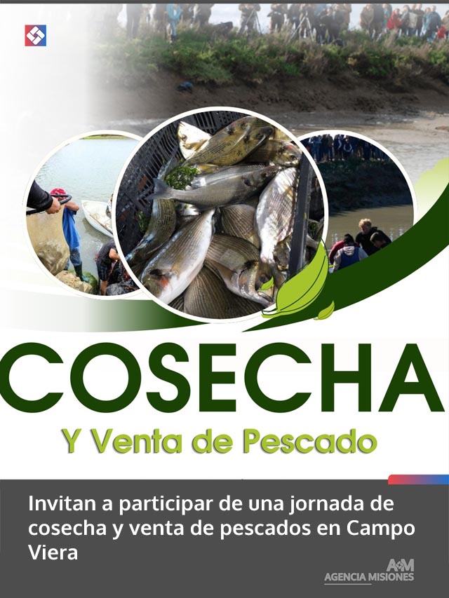 Invitan a participar de una jornada de cosecha y venta de pescados en Campo Viera