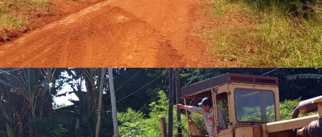 Realizan trabajos de arreglo y nivelación de accesos en comunidades guaraníes de las 600 Hectáreas