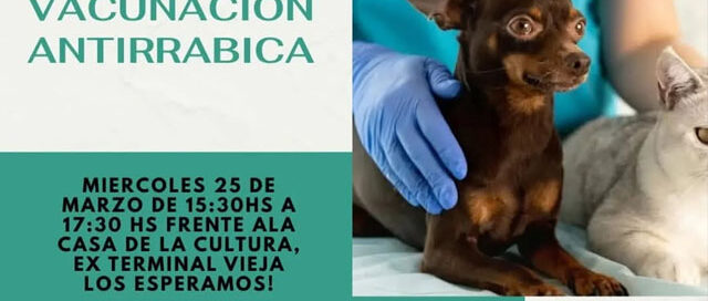 Realizarán jornada de vacunación antirrábica y atención gratuita para mascotas