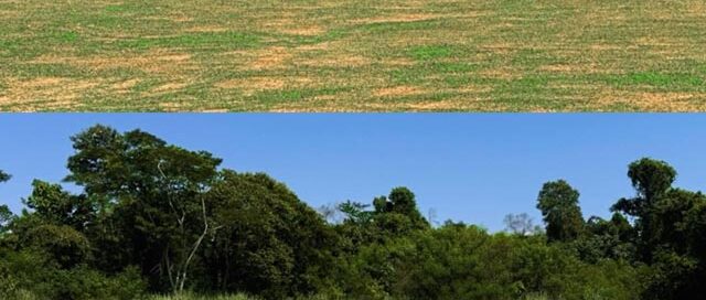 Iguazú: realizaron trabajos de mantenimiento en la cancha municipal de hockey del Polideportivo