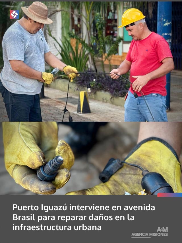 Puerto Iguazú interviene en avenida Brasil para reparar daños en la infraestructura urbana