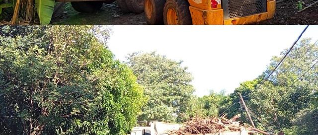 Iguazú: realizaron tareas de recolección de ramas y maleza en el barrio Orquídeas