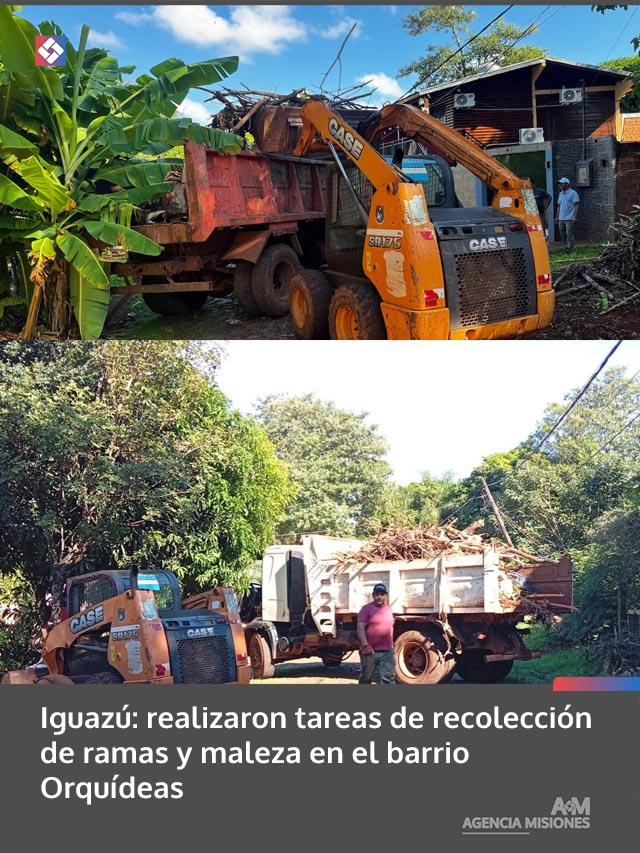 Iguazú: realizaron tareas de recolección de ramas y maleza en el barrio Orquídeas