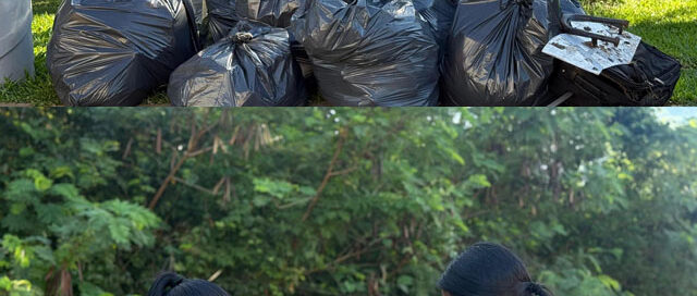 Realizaron una nueva jornada de “Plogging por el Planeta” en el acceso a Iguazú