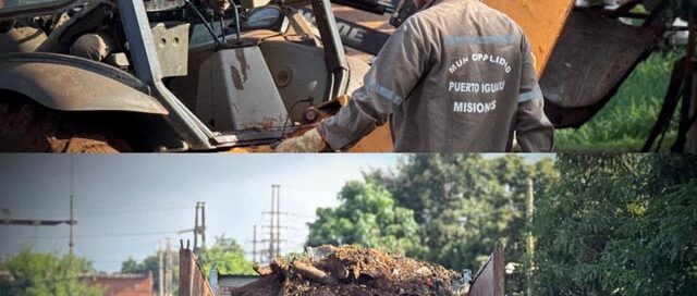 Realizan tareas de limpieza y mantenimiento en distintos sectores de Puerto Iguazú