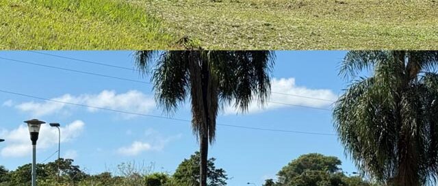 Iguazú: realizan tareas de parquización y mantenimiento en la rotonda de acceso a la ciudad