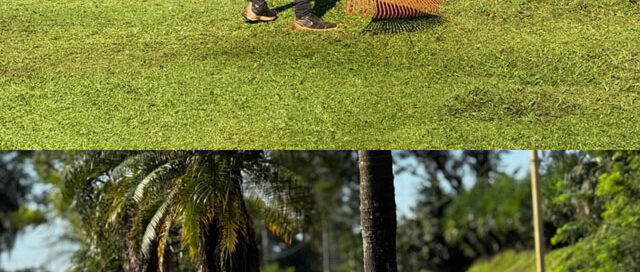 Realizaron trabajos de mantenimiento y puesta en valor en la rotonda de acceso a Iguazú