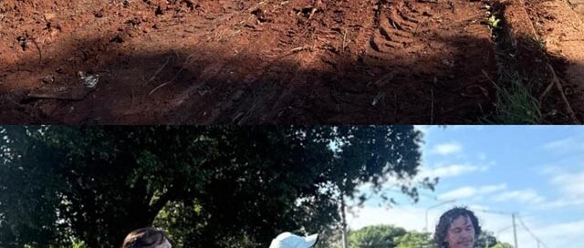 Realizaron tareas de limpieza y mantenimiento en espacios públicos del barrio Bicentenario de Iguazú