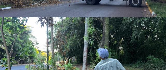 Iguazú: realizan trabajos conjuntos para mejorar la infraestructura eléctrica sobre la calle Hipólito Yrigoyen