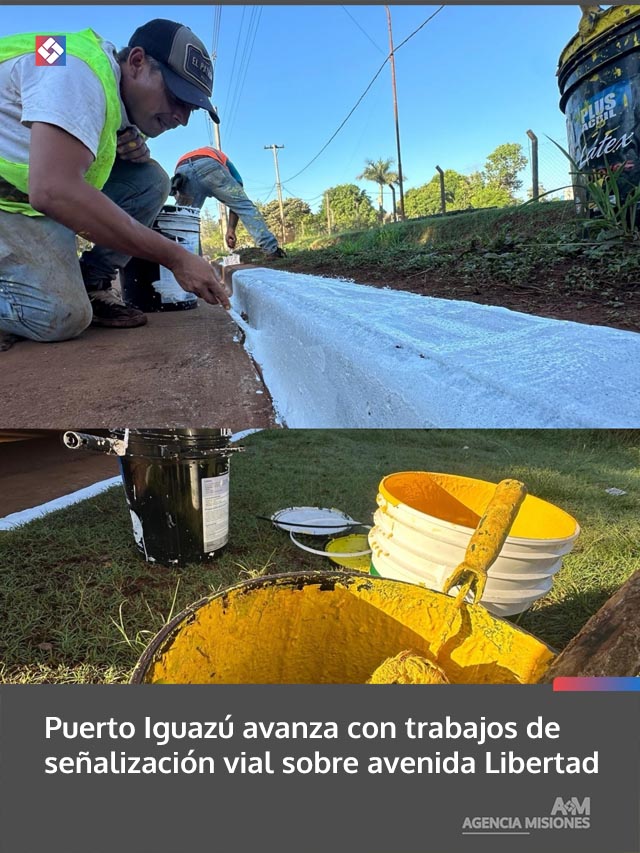 Puerto Iguazú avanza con trabajos de señalización vial sobre avenida Libertad