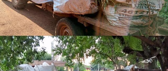 Puerto Leoni: realizaron operativo de descacharrado para prevenir el dengue