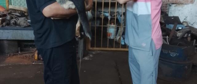 Puerto Piray: el área de Zoonosis realizó vacunación antirrábica en la planta de celulosa