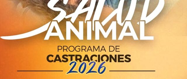 Montecarlo avanza con una nueva etapa del programa de castraciones y vacunación antirrábica