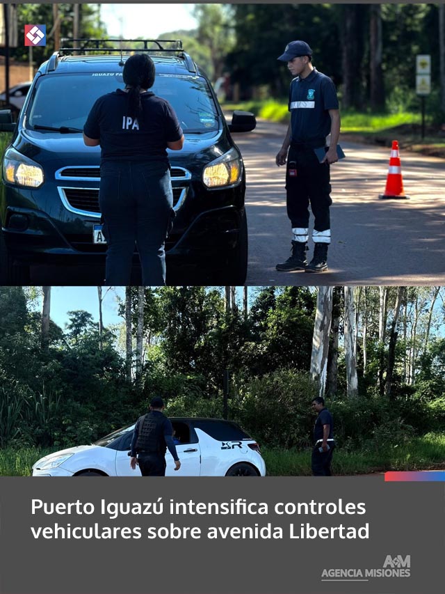 Puerto Iguazú intensifica controles vehiculares sobre avenida Libertad