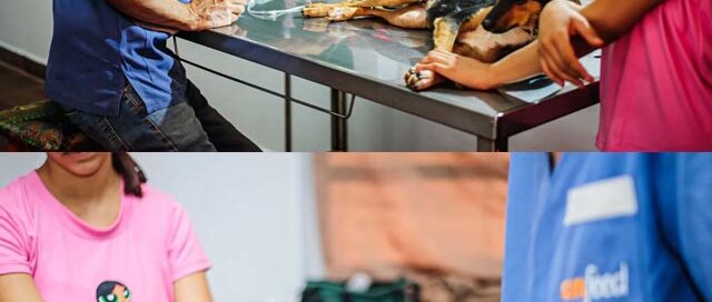 Realizaron una jornada de castración de mascotas en la Escuela de Comercio de Wanda