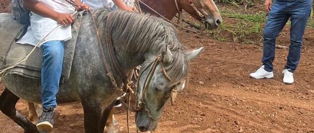 Bonpland realizó operativos de limpieza y mantenimiento en distintos sectores de la localidad