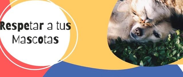 Realizarán jornada de vacunación gratuita en la Plaza de los Inmigrantes de 25 de Mayo