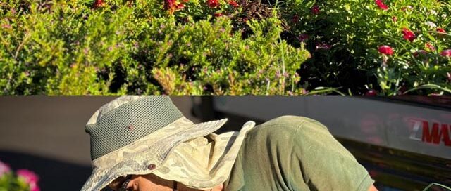 Puerto Iguazú realiza tareas de mantenimiento en la rotonda de las 7 Bocas para fortalecer los espacios verdes