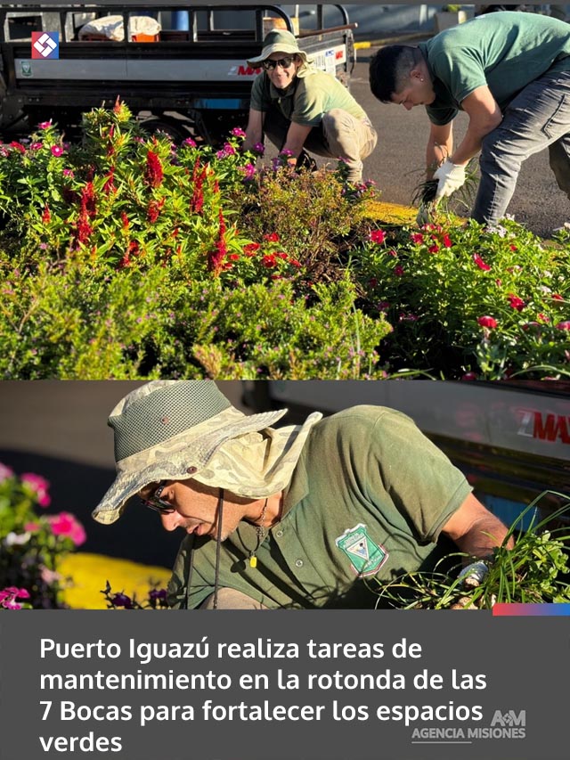 Puerto Iguazú realiza tareas de mantenimiento en la rotonda de las 7 Bocas para fortalecer los espacios verdes