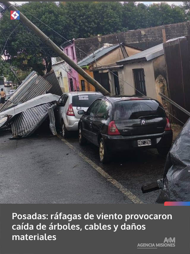 Posadas: ráfagas de viento provocaron caída de árboles, cables y daños materiales