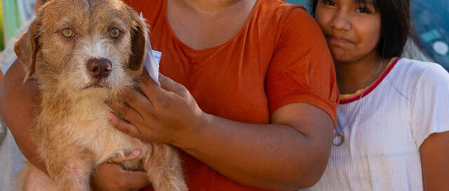 Posadas: acercan castraciones y atención veterinaria gratuita en distintos barrios