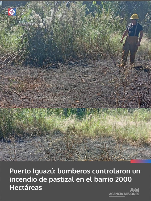 Puerto Iguazú: bomberos controlaron un incendio de pastizal en el barrio 2000 Hectáreas